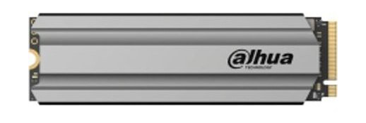 Dahua Technology Dhi-Ssd-C900vn256g-B, 256 Gb, M.2