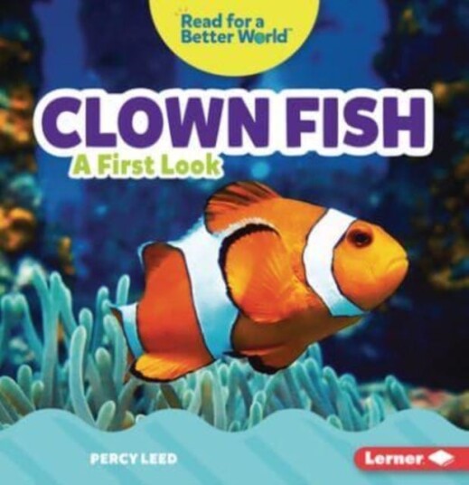 Clown Fish A First Look Clown Fish A First Look