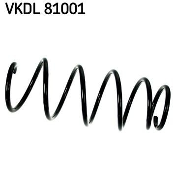 Fjær SKF VKDL 81001