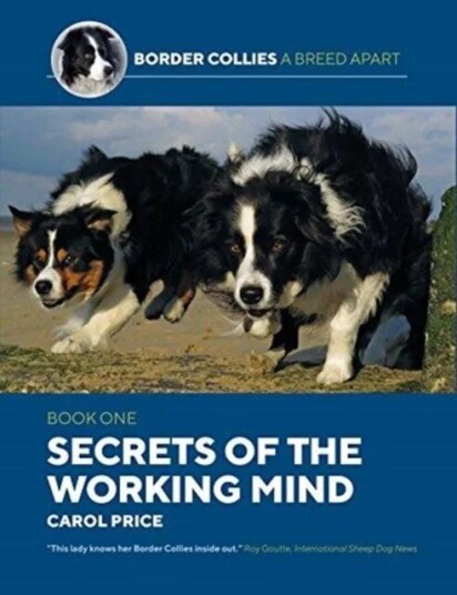 Secrets Of The Working Mind Av Carol Price