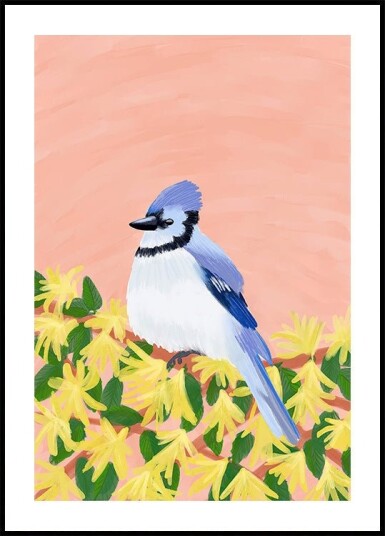 Blue Jay Bird Plakat Plakat / 21x30cm