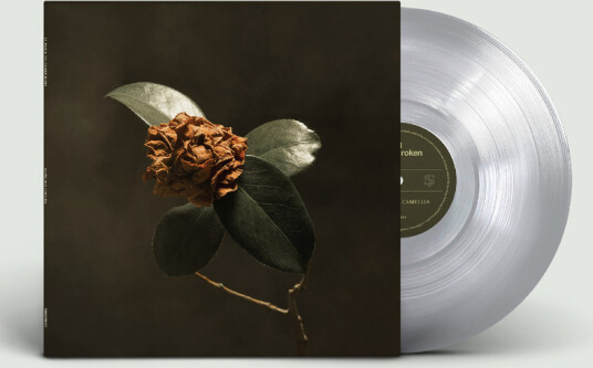 Young Sick Camellia