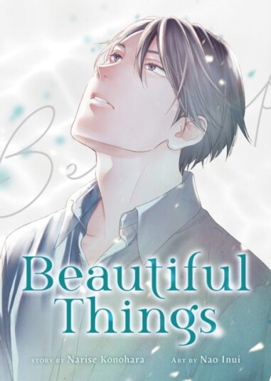 Beautiful Things: The Complete Manga Collection Beautiful Things: The Complete Manga Collection
