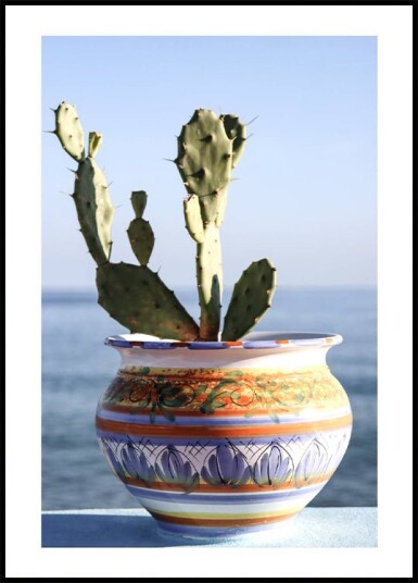 Succulent Vase Seaside Plakat Plakat / 100x150cm