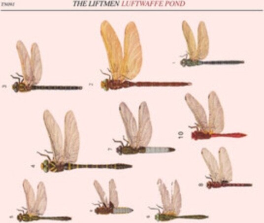 The Liftmen Luftwaffe Pond Uk Vinyl
