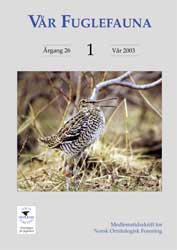 Norsk Ornitologisk Forening Vår Fuglefauna   2003 1 årgang 26