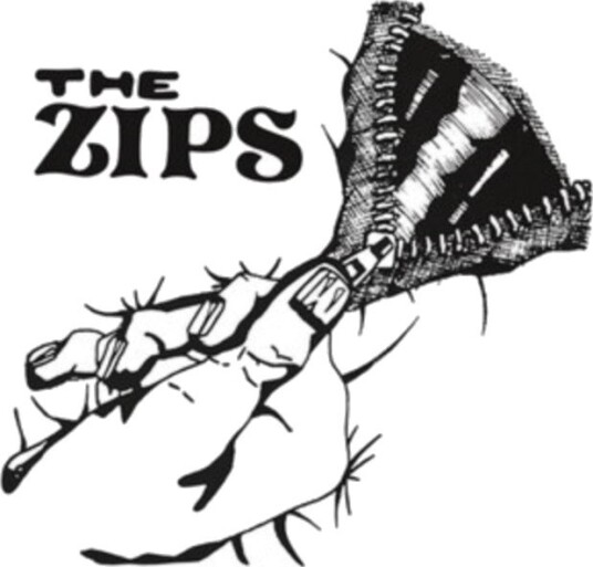 The Zips Take Me Down Uk Vinyl