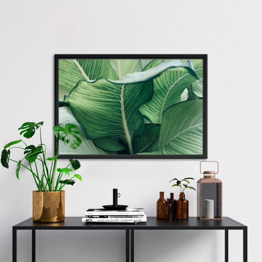 Calathea no. 2 av Illux Calathea no. 2 av Illux