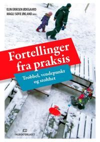 Fortellinger Fra Praksis