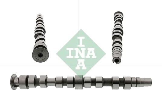 INA 428 0169 10 Kamaksel
