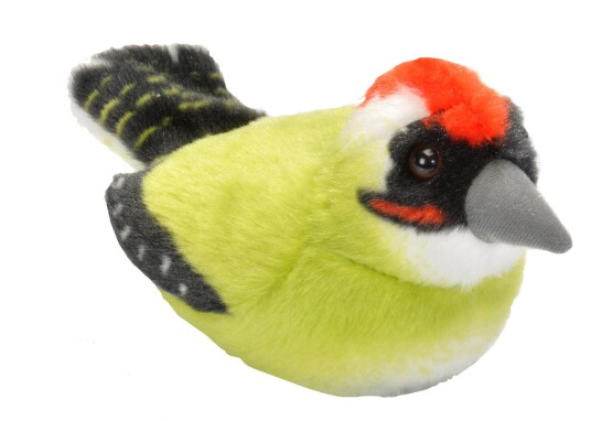 Wild Republic Birds with sound from Wild Republic Birds with sound from