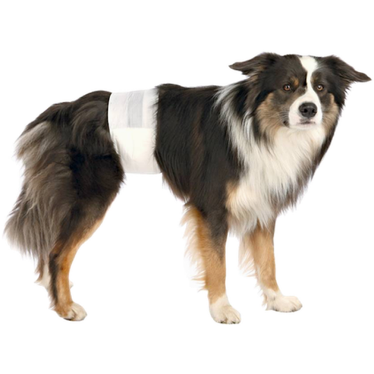 Engangsbleier For Hannhunder Blå Small/Medium Hund Helse Og Pels Pelspleie Hundesjampo Bilbelte Til Hund Trixie