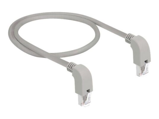 Delock RJ-45 Koblingskabel Cat6 2m Grå