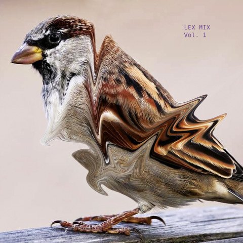 Diverse Artister Lex Mix Vol1 Vinyl Diverse Artister Lex Mix Vol1 Vinyl