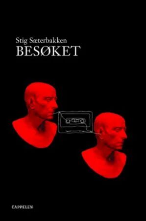 Besøket Av Stig Sæterbakken