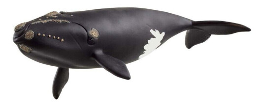 Schleich Nordatlantisk Retthval Figur 19 cm