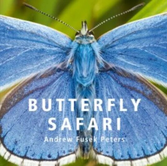 Butterfly Safari Av Andrew Fusek Peters Butterfly Safari Av Andrew Fusek Peters