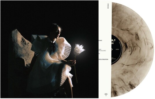 Telenova Time Is A Flower LP/Vinyl