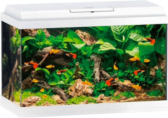 Primo 70 LED hvitt akvarium Primo 70 LED hvitt akvarium