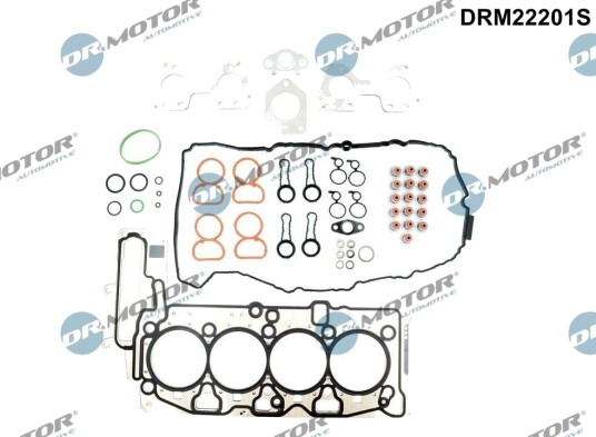 Tetnings helsett motor DR.MOTOR AUTOMOTIVE DRM22201S