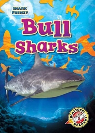 Bull Sharks av Rebecca Pettiford