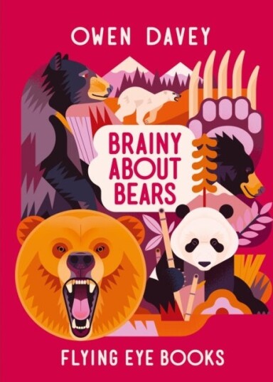 Brainy About Bears Brainy About Bears