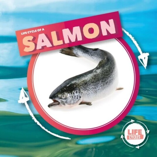 Life Cycle Of A Salmon Av Kirsty Holmes Life Cycle Of A Salmon Av Kirsty Holmes