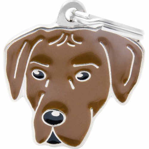 Myfamily Rhodesian Ridgeback
