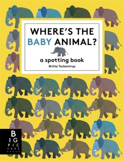 Where's the Baby Animal?  A Spotting Book
