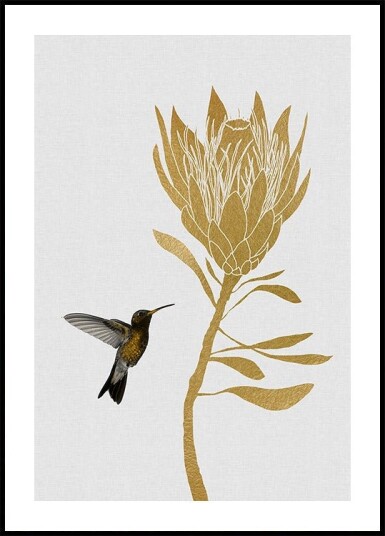 Hummingbird & Flower I Plakat / 40x50cm Hummingbird & Flower I Plakat / 40x50cm