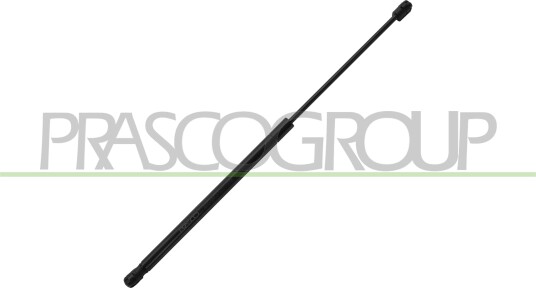 PRASCO AD3249065 Baklukedemper