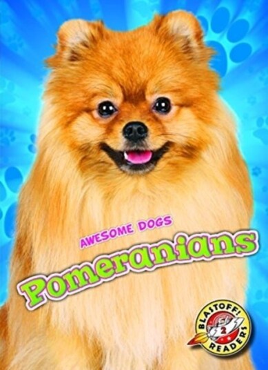 Pomeranians Pomeranians