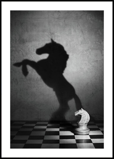 The soul of a mustang Plakat / 21x30cm
