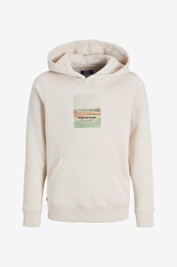 Jack & Jones Junior Hettegenser jorVesterbro Newton Boxfrontsweat B Grå