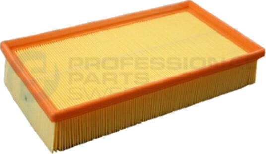 Luftfilter Professional Parts 24438047