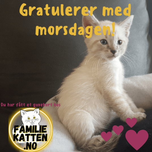 Gavekort Familiekatten - Skriv inn beløp