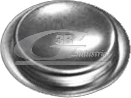 3RG 84050 Plugg, vippearm - montasjehull 3RG 84050 Plugg, vippearm - montasjehull