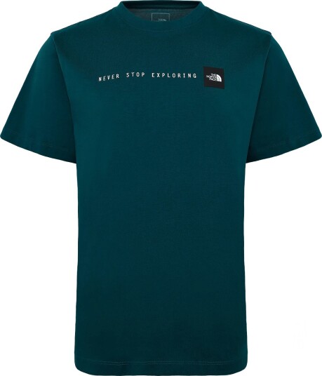 The North Face M Nse Reg Ss Tee Graphic Green L