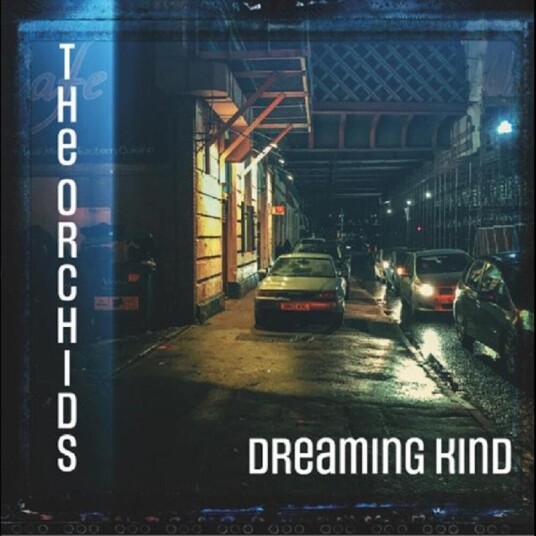 Dreaming Kind Vinyl
