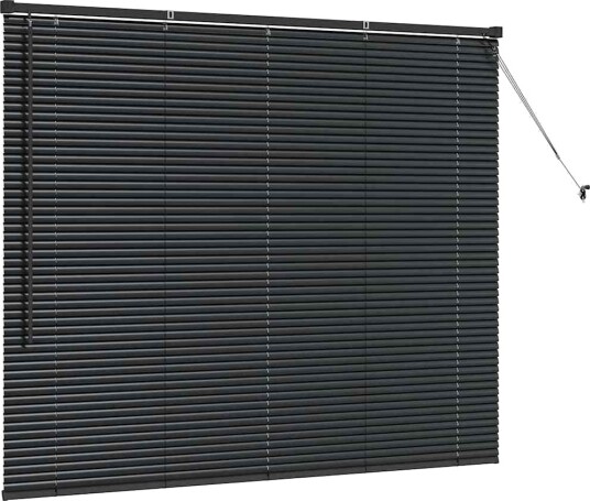 Vindu Persienne med gardiner Svart Aluminium