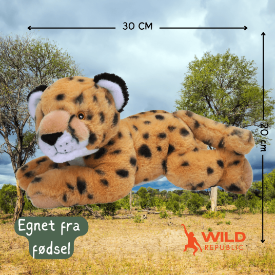 Ecokins Cheetah Plush | Wild Republic Ecokins Cheetah Plush | Wild Republic
