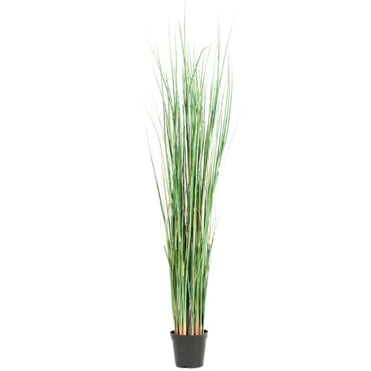 Mr Plant Gress 130 cm Mr Plant Gress 130 cm