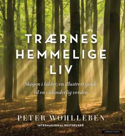Trærnes Hemmelige Liv Av Peter Wohlleben