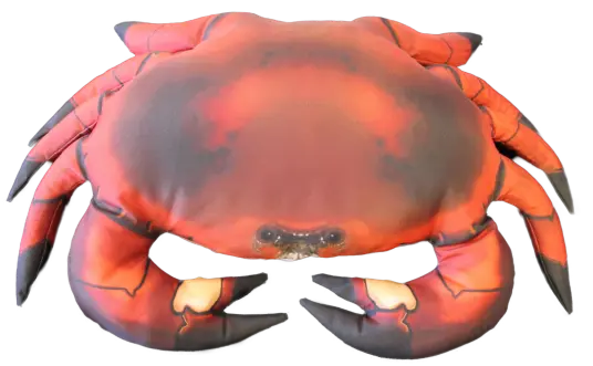 Fiskepute - Krabbe - Cancer Pagurus - 60 cm