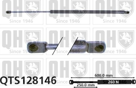 QUINTON HAZELL QTS128146 Baklukedemper