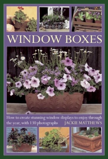 Window Boxes  How to Create Stunning Window Displays to Enjoy Throughout the Year