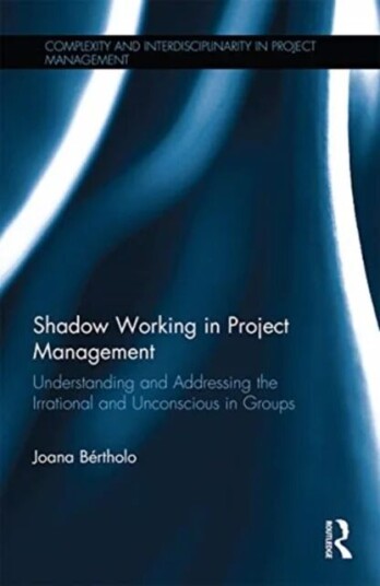 Shadow Working In Project Management Av Joana Bertholo