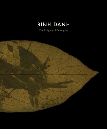 Binh Danh: The Enigma Of Belonging