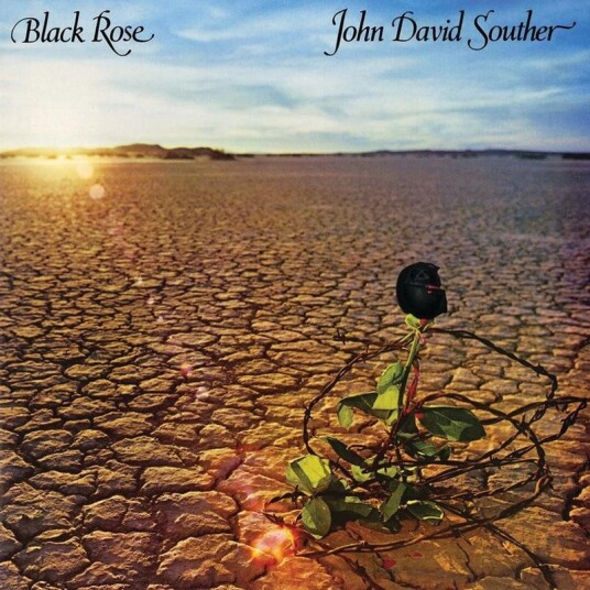 Black Rose Vinyl