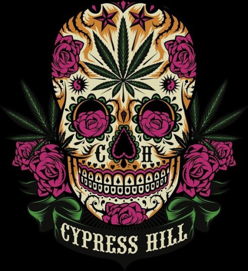 Rocksax Cypress Hill Tequilla Sunrise Sherpa Fleece Throw 50 in x 60 in 78899422